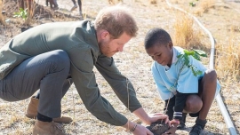 Ο πρίγκιπας Harry ανέλαβε το Instagram account του National Geographic