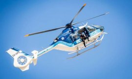 Ρέθυμνο: Ελικόπτερο της ΕΛ.ΑΣ εντόπισε δάσος κάνναβης με 1.512 δενδρύλλια