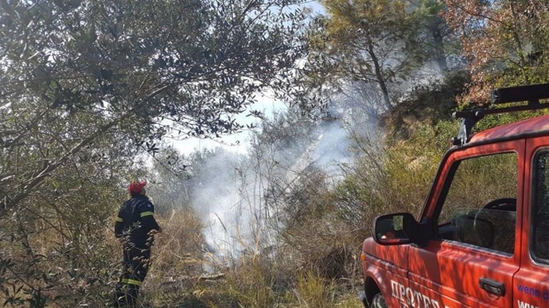 Ηράκλειο: Άνδρας έβαλε φωτιά σε χόρτα και συνελήφθη για εμπρησμό