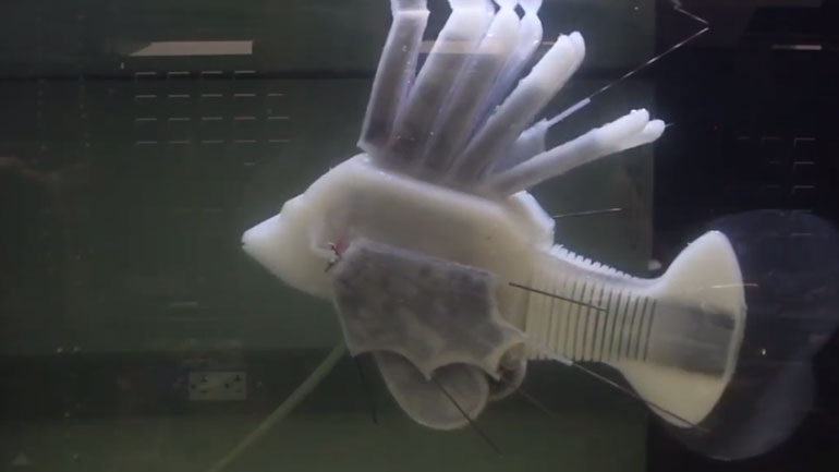 Το πρώτο ρομποτικό ψάρι που κινείται με συνθετικό αίμα