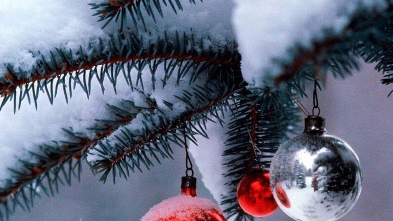 Θεσσαλονίκη: Κανένα χριστουγεννιάτικο δέντρο στις χωματερές: Πιλοτικό πρόγραμμα για την παραγωγή πέλλετ